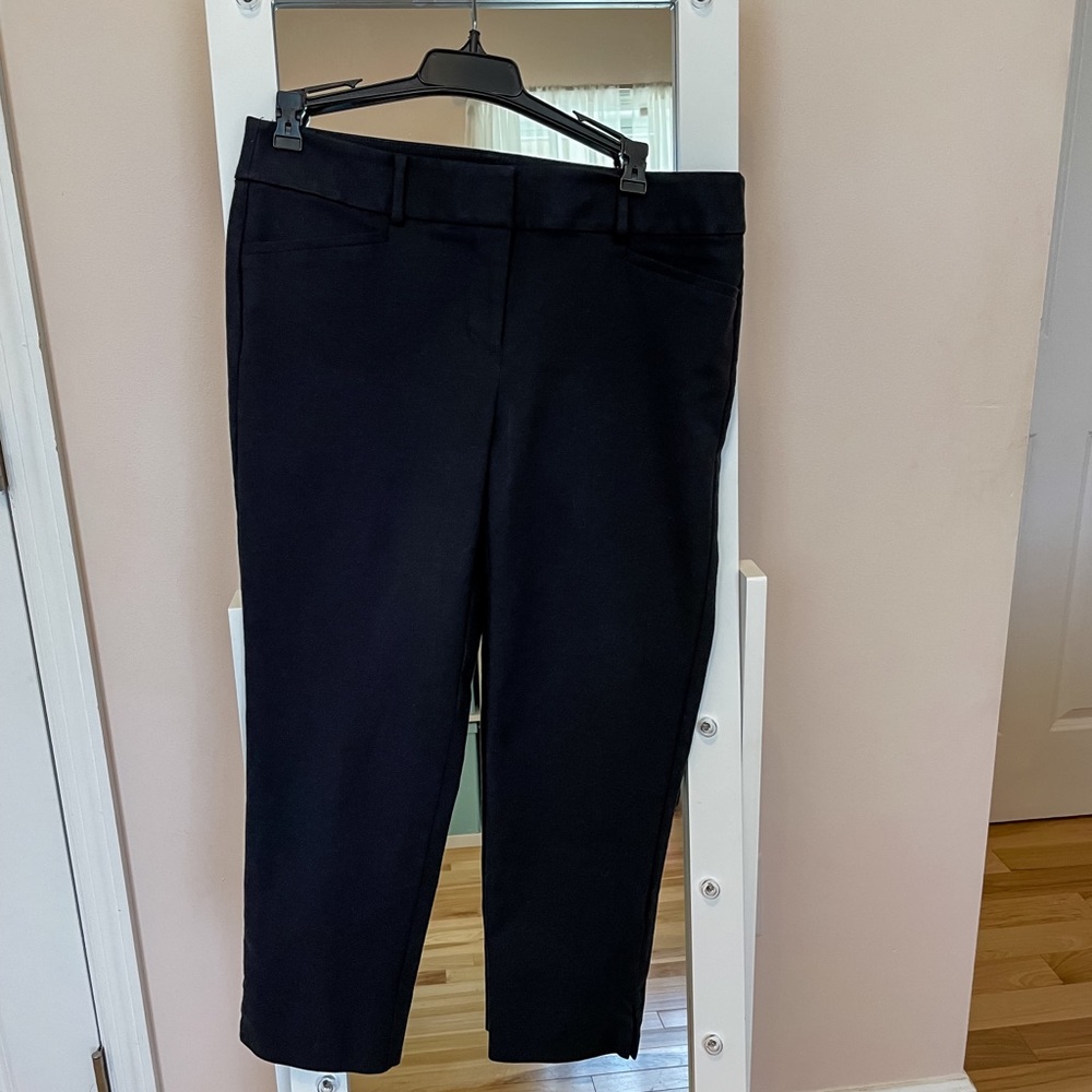 Loft Riviera Ankle Pants, 6P